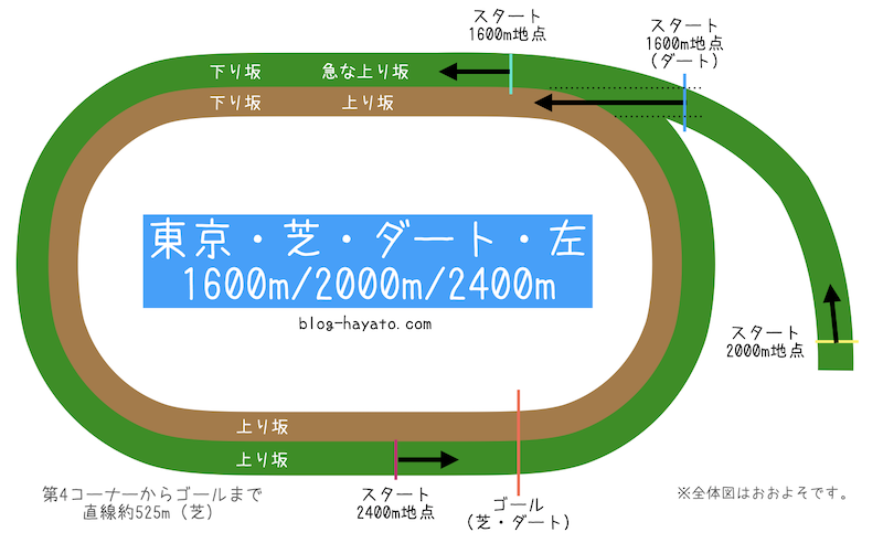 ウマ娘/東京レース場/全体図
